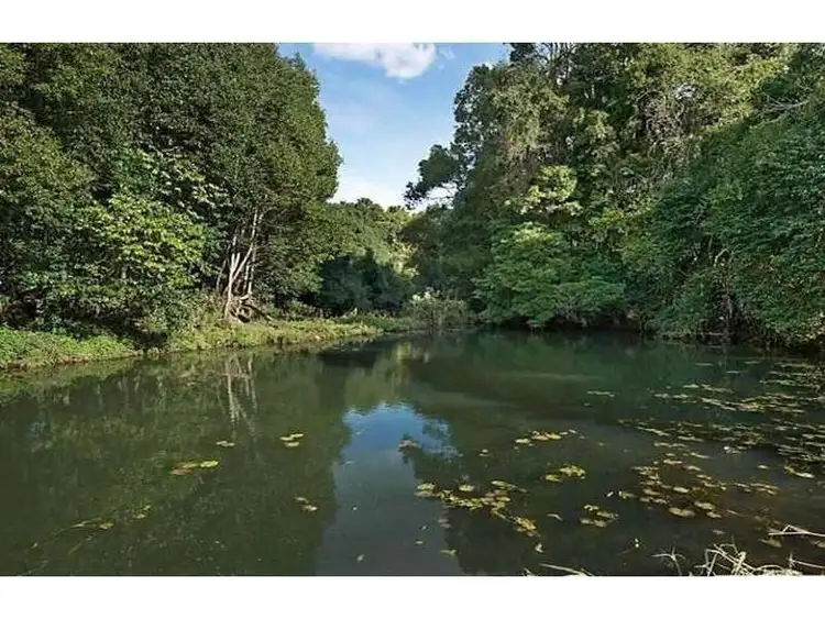 Second view of Homely house listing, 567 Humpty Back Road, Pearces Creek NSW 2477