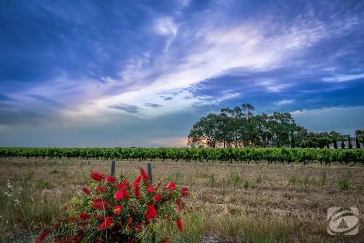 Fourth view of Homely house listing, 19 Gilligan Grove, Mclaren Flat SA 5171