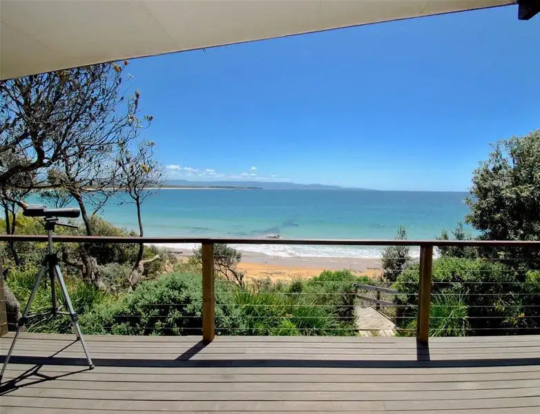 Main view of Homely house listing, 194 Penguins Head Road, Culburra Beach NSW 2540