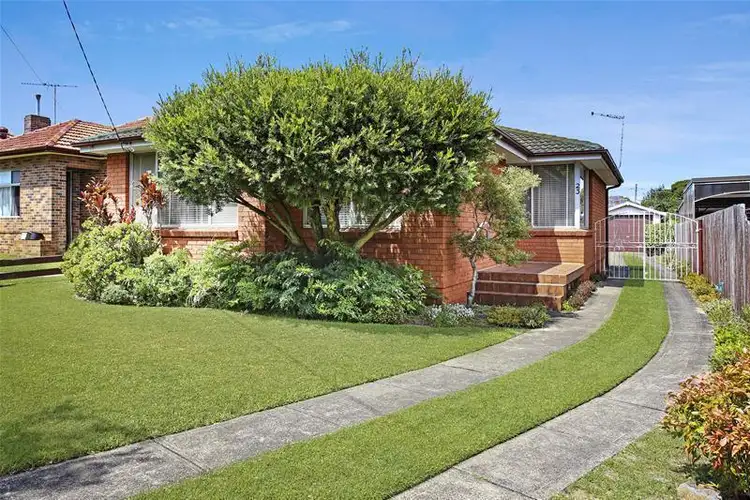 Main view of Homely house listing, 23 Mcclelland Street, Chester Hill NSW 2162