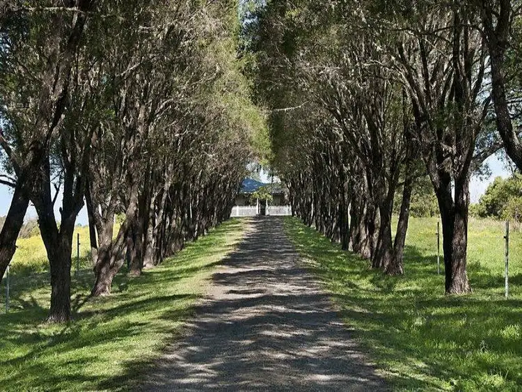 Fifth view of Homely house listing, 129 Mckinnons Road, Mcleans Ridges NSW 2480