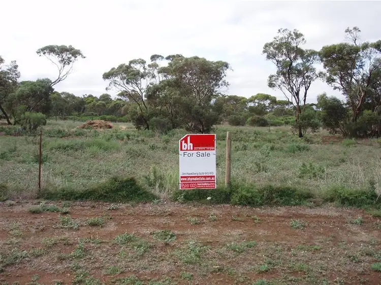 Second view of Homely land listing, 47-50 Swan Reach Road, Sedan SA 5353