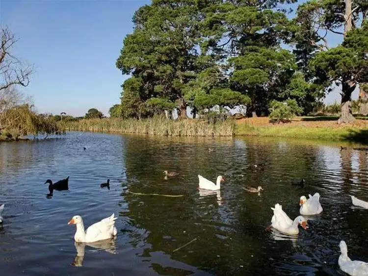 Sixth view of Homely land listing, Lot 77 Wattle Grove, Riddells Creek VIC 3431