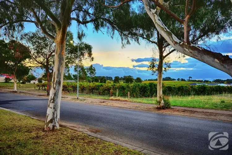 Fifth view of Homely house listing, 68 Main Road, Mclaren Flat SA 5171
