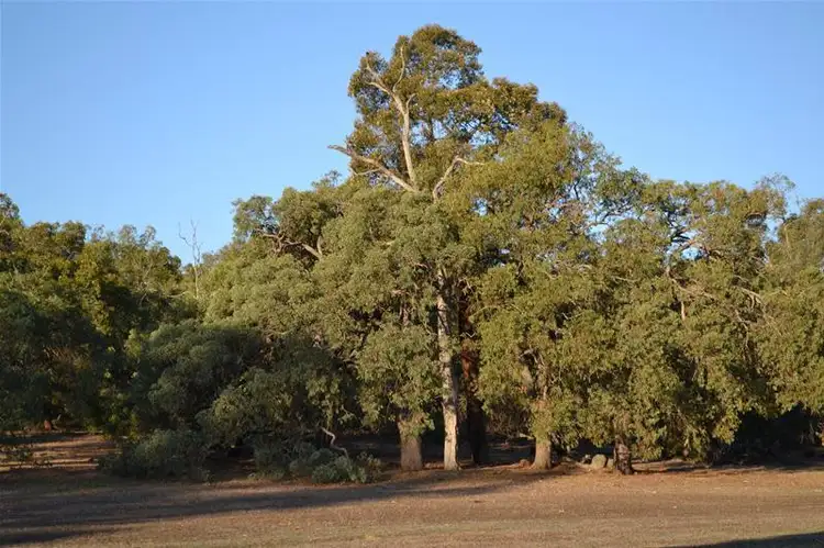 Main view of Homely land listing, 61 Tooday Glen, Chittering WA 6084