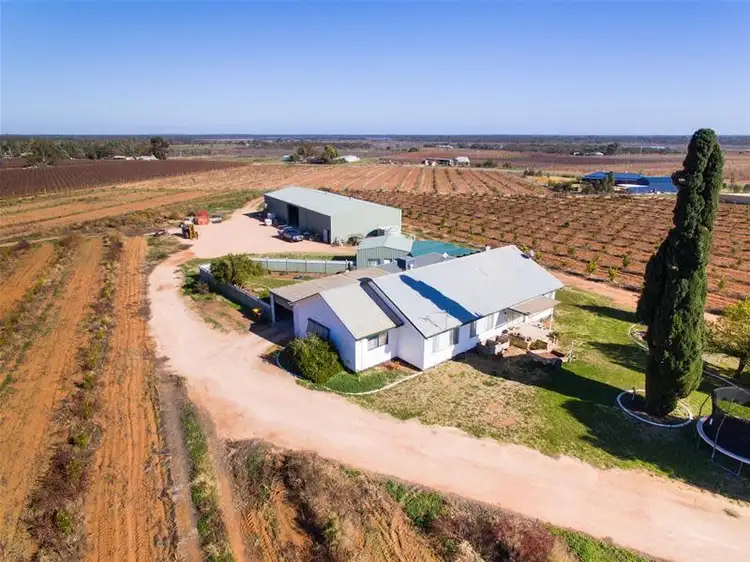 Fifth view of Homely house listing, 353 Twentieth Street, Cardross VIC 3496