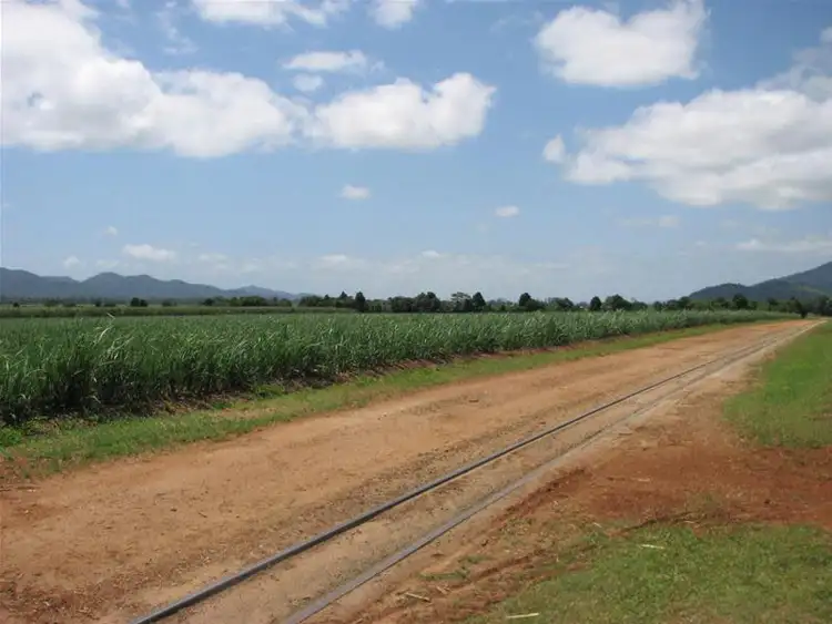 Sixth view of Homely rural property listing, 26 Munro Road, Bellenden Ker QLD 4871