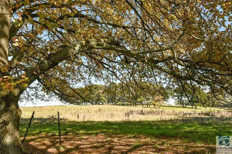 Third view of Homely land listing, Lot 26 Dingle Road, Beechworth VIC 3747