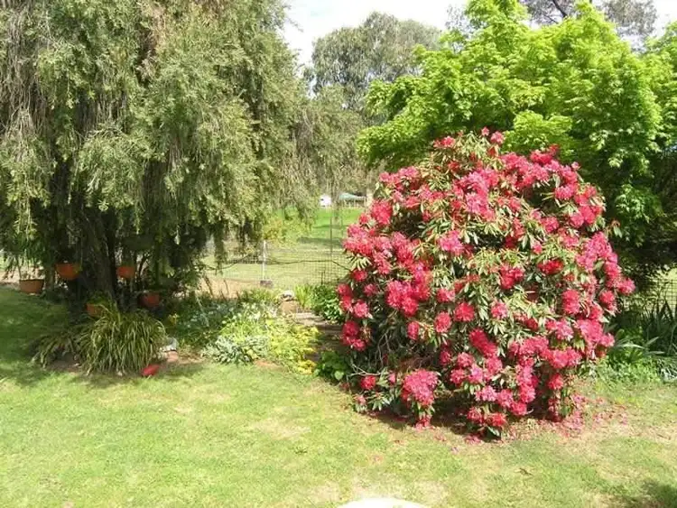 Seventh view of Homely house listing, 104 Coronation Avenue, Bright VIC 3741