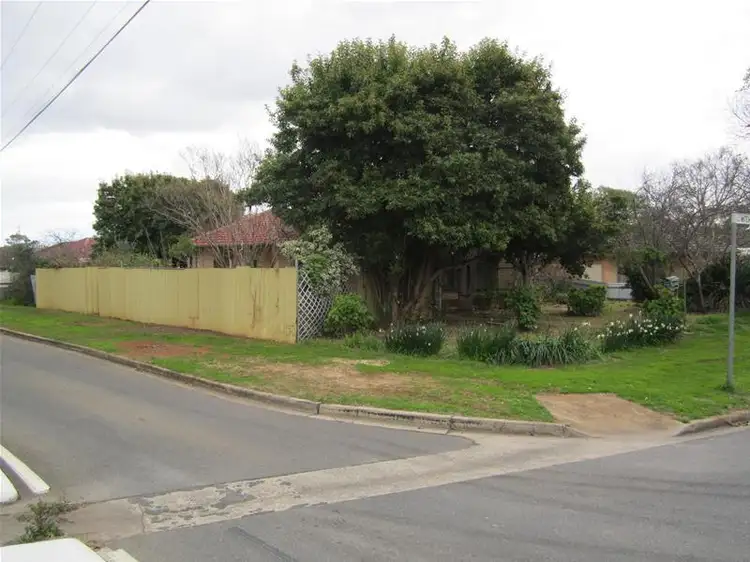 Second view of Homely house listing, 4 Mitchell Street, Paradise SA 5075