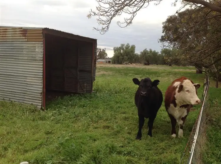 Third view of Homely land listing, 172 - 180 Lord Street, Howlong NSW 2643