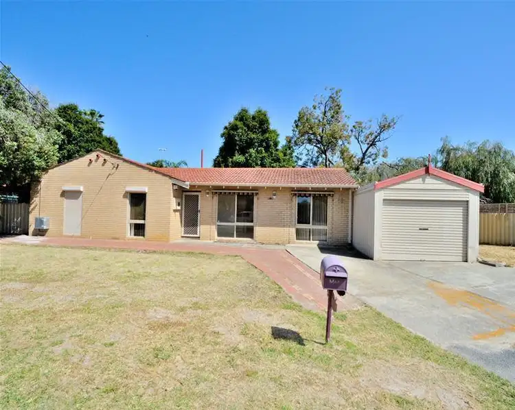 Main view of Homely house listing, 41 Andrews Way, Herne Hill WA 6056