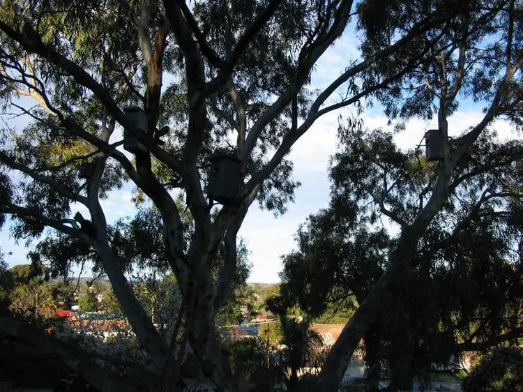 Fourth view of Homely land listing, 13 Jasper Place, Morphett Vale SA 5162