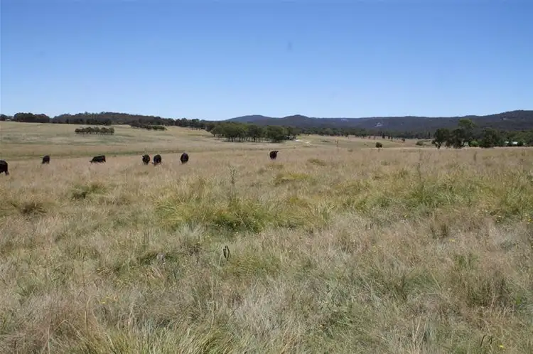 Main view of Homely land listing, Lot 42 Black Swamp Road, Tenterfield NSW 2372