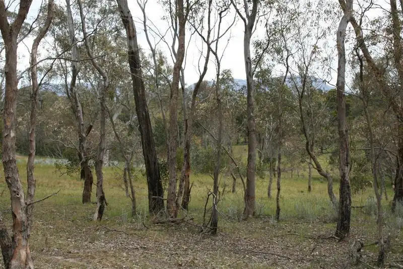 Main view of Homely rural property listing, 54J Moyston Dunkeld Road, Moyston VIC 3377