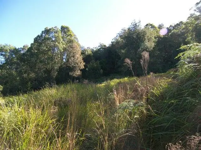 Third view of Homely rural property listing, Lot 2 Bunning Creek Road, Yarramalong NSW 2259