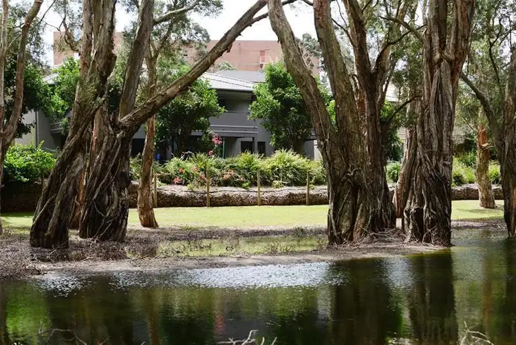 Main view of Homely house listing, 19 Lagoons Circuit, Nelson Bay NSW 2315
