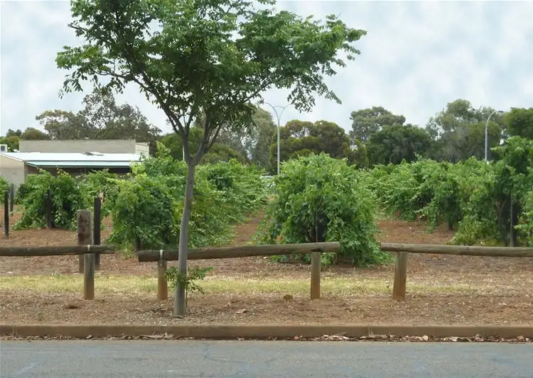 Third view of Homely land listing, Lot 16 / Sutherland Street, Park Holme SA 5043