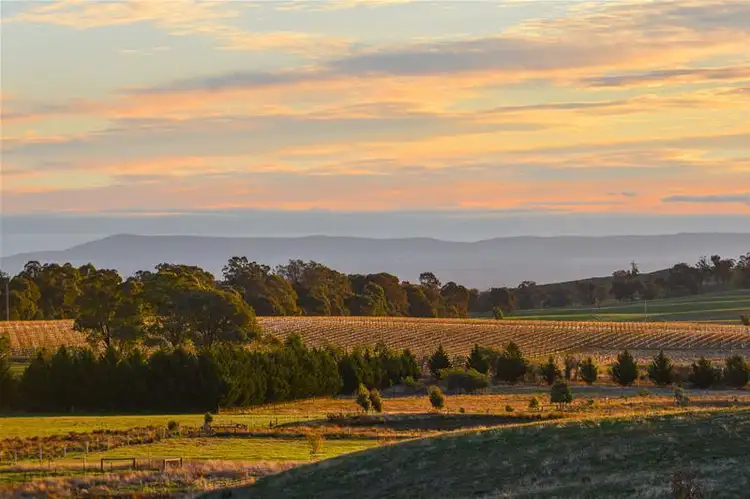 Main view of Homely land listing, 9 Lawrie Road, Beechworth VIC 3747