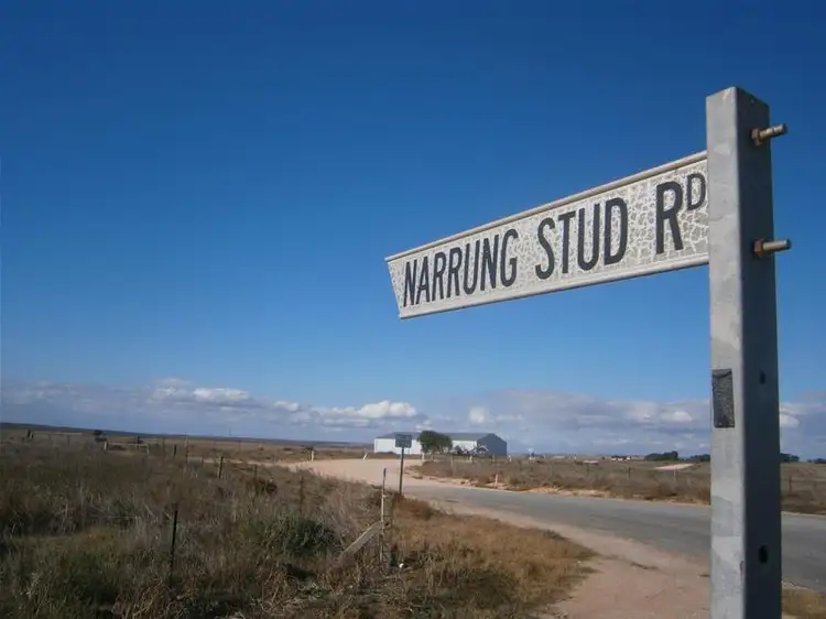 Main view of Homely land listing, Lot 6 Narrung Stud Road, Narrung SA 5259