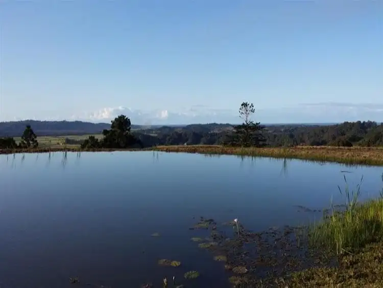 Fifth view of Homely rural property listing, 16 Farrants Road, Farrants Hill NSW 2484