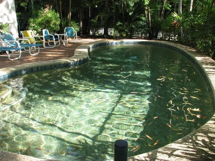 Seventh view of Homely unit listing, 1/21-25 Cedar Road, Palm Cove QLD 4879