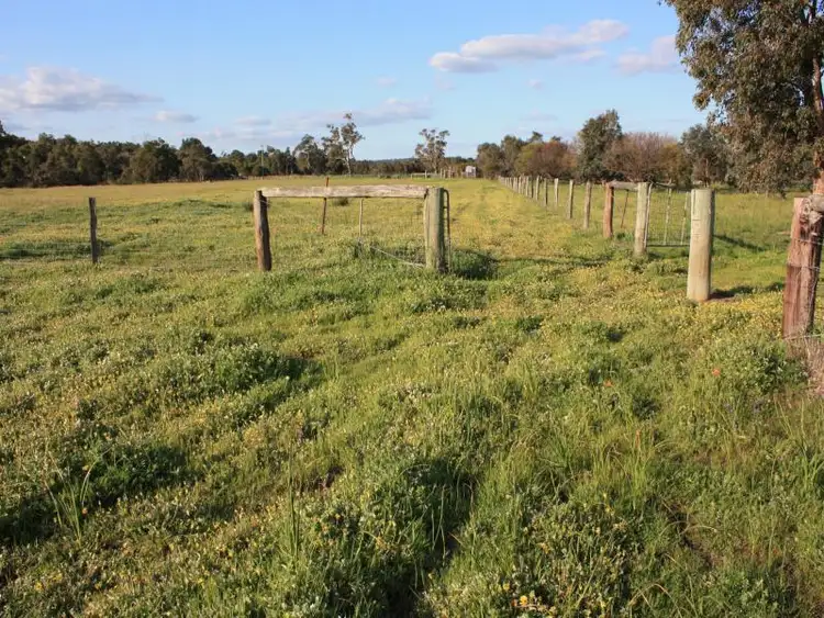 Seventh view of Homely house listing, 4169 Great Northern Highway, Muchea WA 6501
