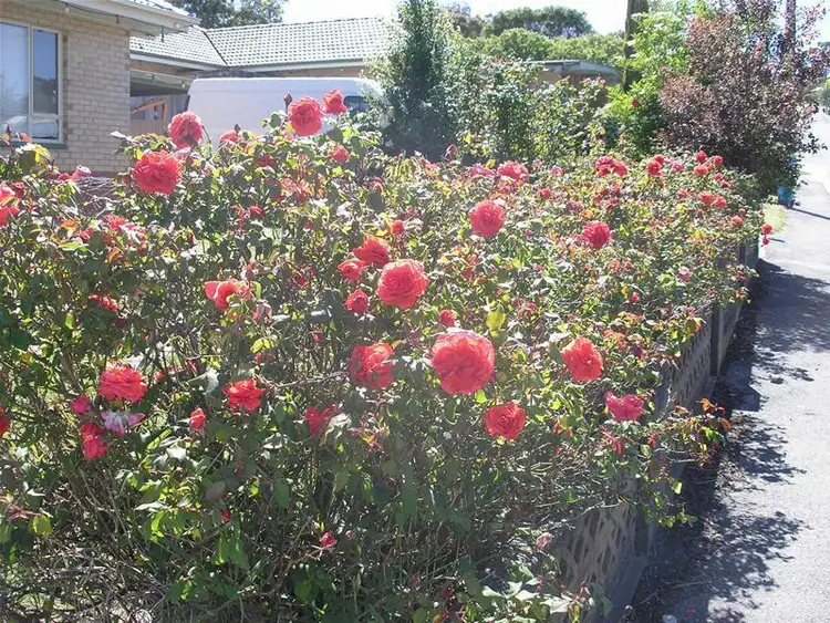 Fifth view of Homely house listing, 1 Wattle Street, Lobethal SA 5241
