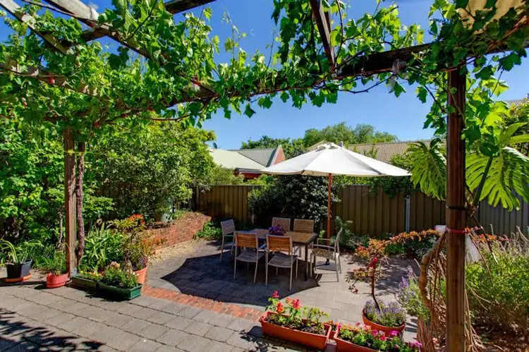 31 Sheldon Street, Norwood SA 5067