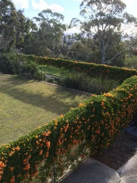 Second view of Homely land listing, 16A Caithness Avenue, Beaumont SA 5066