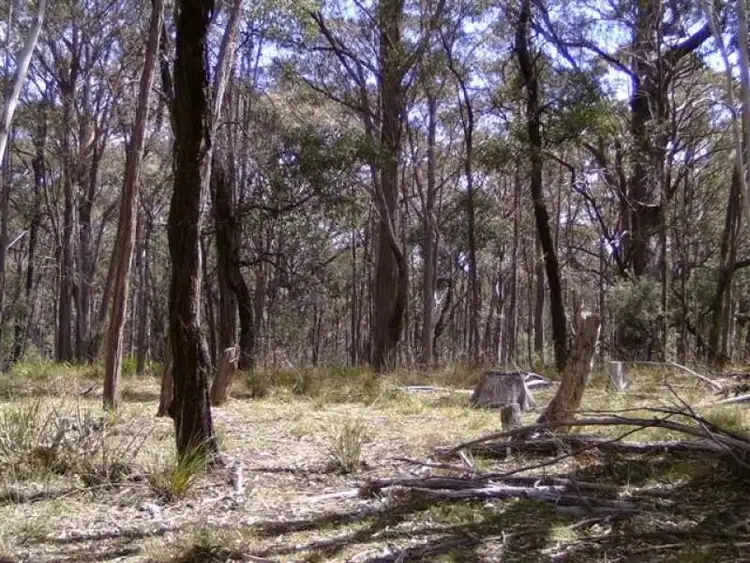 Fourth view of Homely rural property listing, 804 Mt Vincent Road, Ilford NSW 2850