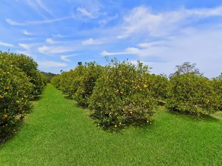 Sixth view of Homely house listing, 1659 Wisemans Ferry Road, Central Mangrove NSW 2250