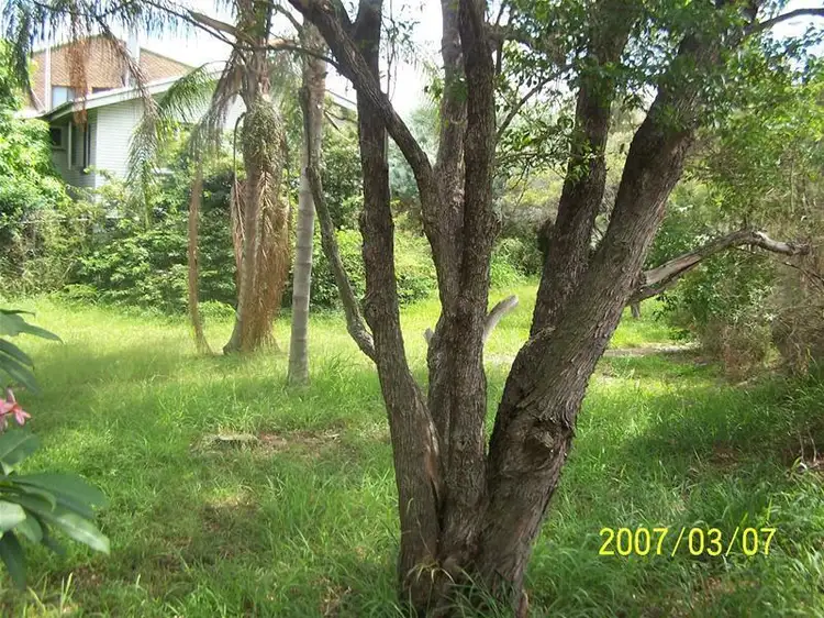 Fifth view of Homely house listing, 11 Clifton Street, Moorooka QLD 4105