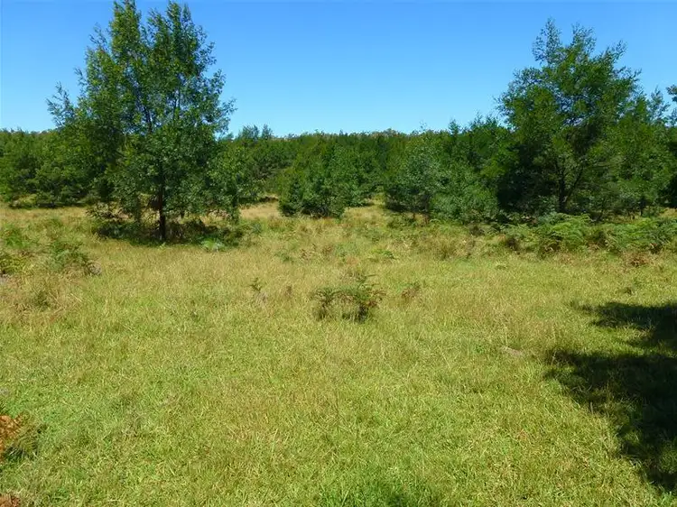 Fifth view of Homely land listing, LOT 14 Lot 14 Sheas Road, Mogood NSW 2538
