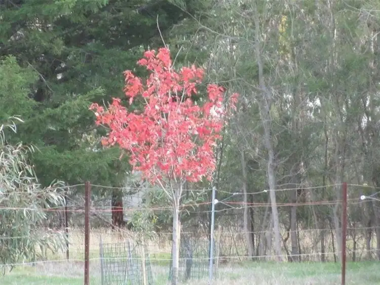Seventh view of Homely land listing, 42 Somerville Lane, Riddells Creek VIC 3431