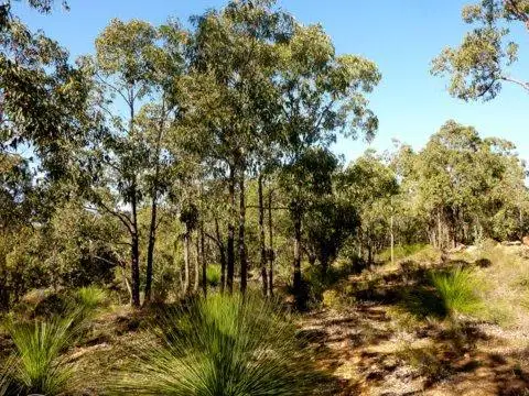 6/380 Clenton Road, Gidgegannup WA 6083