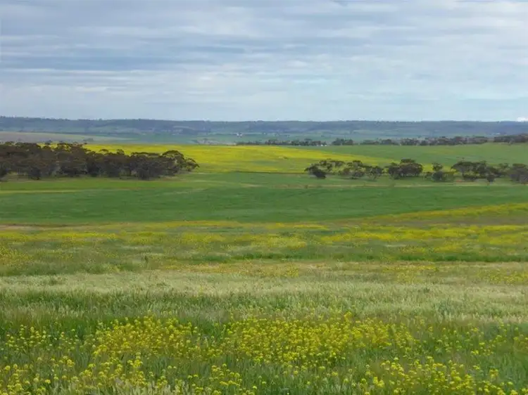 Seventh view of Homely land listing, LOT 11/96 Magpie Crescent, Mannum SA 5238