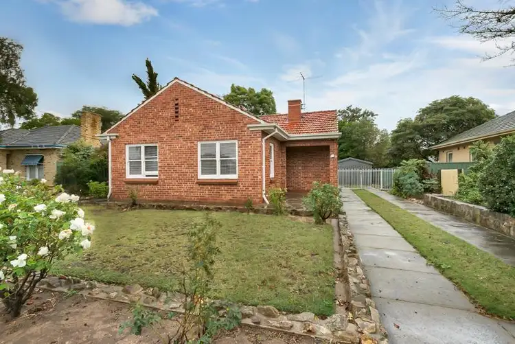 59 Pine Avenue, Glenelg North SA 5045