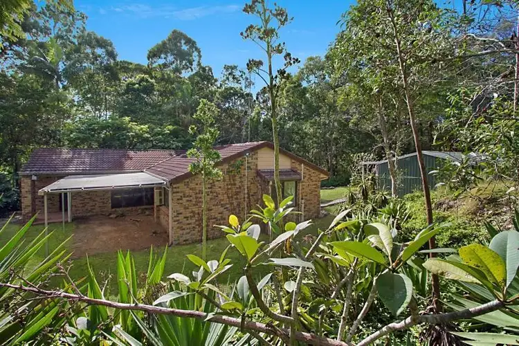 Second view of Homely house listing, 243 Trees Road, Tallebudgera QLD 4228