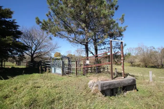 Third view of Homely land listing, Lot/2 Branch Creek, Tenterfield NSW 2372