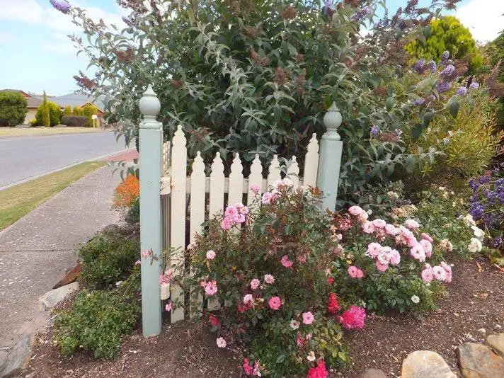 Second view of Homely house listing, 37 Vine Street, Mclaren Vale SA 5171