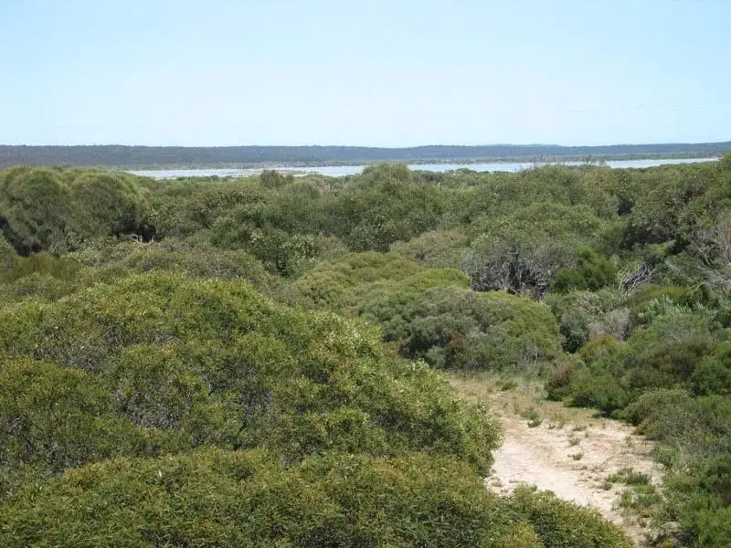 Main view of Homely land listing, 10 Eucalyptus Court, Marion Bay SA 5575