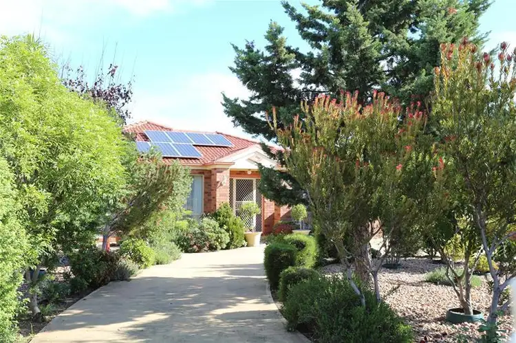 137 Diagonal Road, Warradale SA 5046