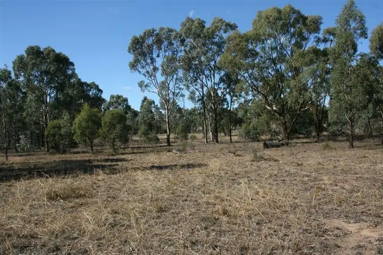 Second view of Homely rural property listing, 95 Martins Lane, Illawarra VIC 3381