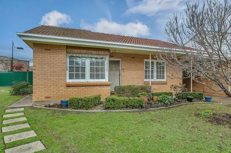 Main view of Homely unit listing, 3/19 William Street, Hawthorn SA 5062
