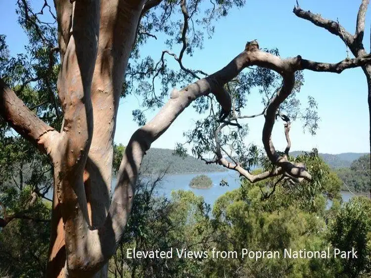 Main view of Homely land listing, 8 Cararma Parkway, Cheero Point NSW 2083