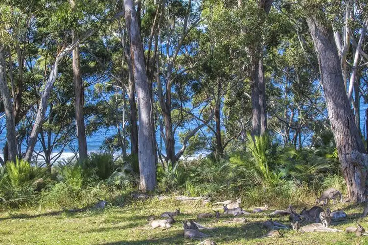 2/24 Michener Court, Long Beach NSW 2536
