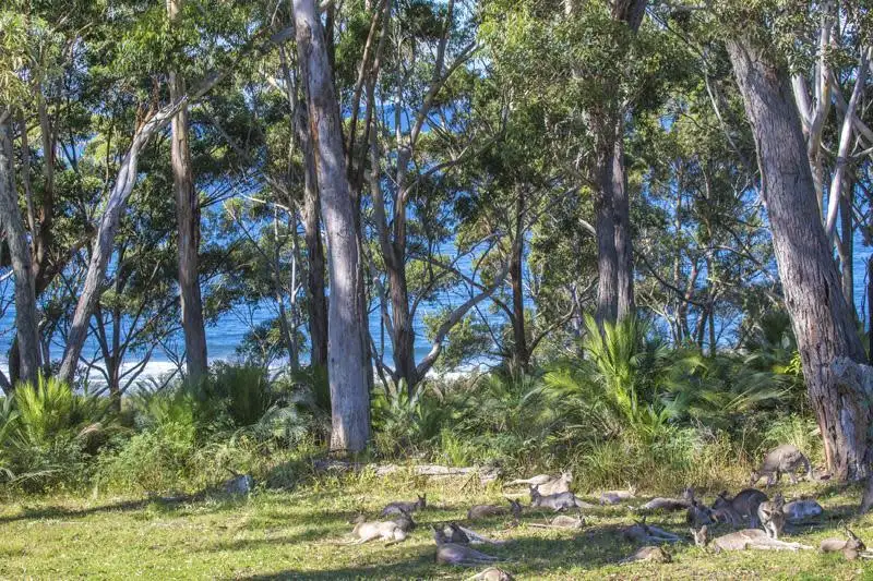 Main view of Homely house listing, 2/24 Michener Court, Long Beach NSW 2536