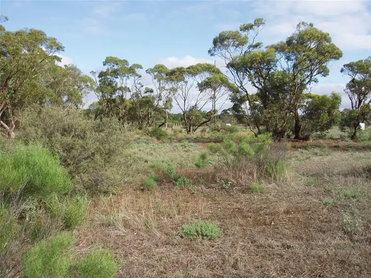 Seventh view of Homely land listing, 47-50 Swan Reach Road, Sedan SA 5353
