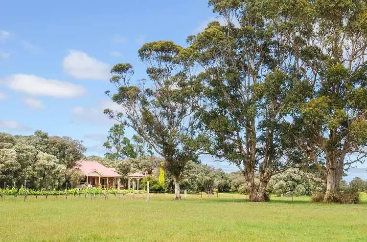 Main view of Homely rural property listing, 12459 Bussell Highway, Karridale WA 6288
